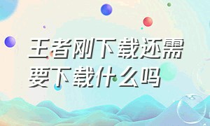 王者刚下载还需要下载什么吗（王者刚下载还需要下载什么吗苹果）