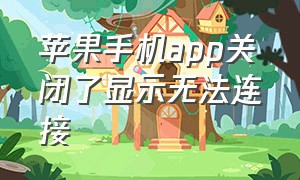 苹果手机app关闭了显示无法连接