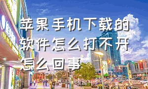 苹果手机下载的软件怎么打不开怎么回事