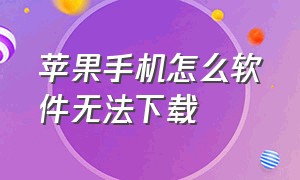 苹果手机怎么软件无法下载