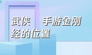 武侠乂手游金刚经的位置