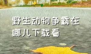 野生动物争霸在哪儿下载看