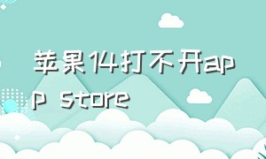 苹果14打不开app store
