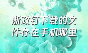 浙政钉下载的文件存在手机哪里