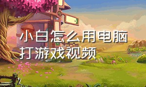 小白怎么用电脑打游戏视频