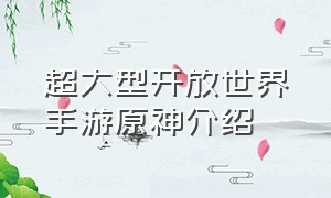 超大型开放世界手游原神介绍