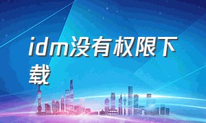 idm没有权限下载（idm下载显示权限解决办法）