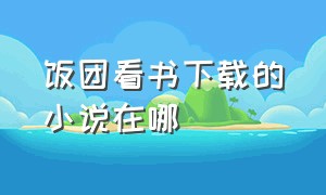 饭团看书下载的小说在哪