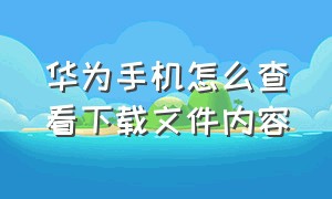 华为手机怎么查看下载文件内容