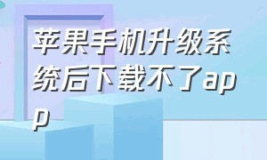 苹果手机升级系统后下载不了app