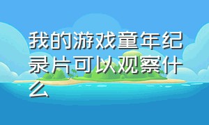 我的游戏童年纪录片可以观察什么（我的游戏童年纪录片可以观察什么）