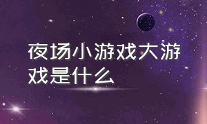 夜场小游戏大游戏是什么