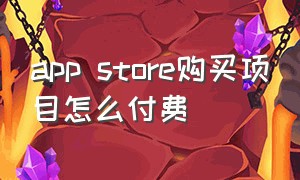 app store购买项目怎么付费