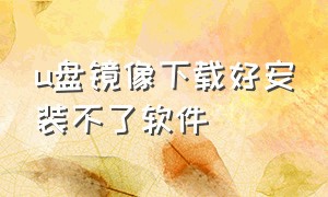 u盘镜像下载好安装不了软件