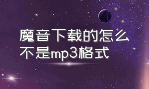 魔音下载的怎么不是mp3格式