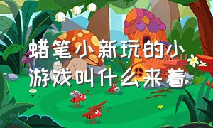 蜡笔小新玩的小游戏叫什么来着（蜡笔小新经常玩的游戏有哪些）