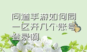 问道手游如何同一区开几个账号登录啊（问道手游如何同一区开几个账号登录啊苹果）