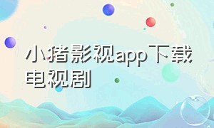 小猪影视app下载电视剧