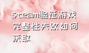 steam验证游戏完整性失败如何获取