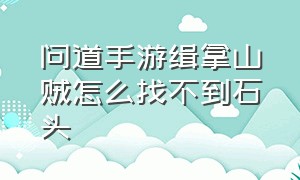 问道手游缉拿山贼怎么找不到石头