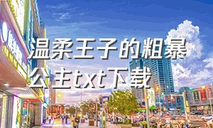 温柔王子的粗暴公主txt下载