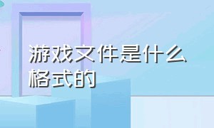 游戏文件是什么格式的