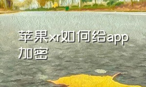 苹果xr如何给app加密（苹果xr怎么单独给app加锁）