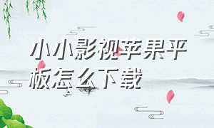 小小影视苹果平板怎么下载（小小影视平板能下载吗）