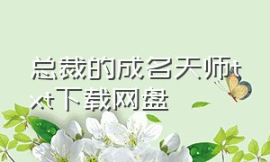 总裁的成名天师txt下载网盘