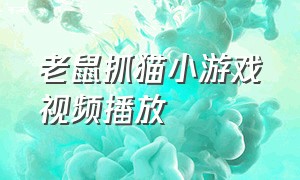 老鼠抓猫小游戏视频播放