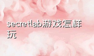 secretlab游戏怎样玩