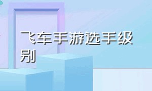 飞车手游选手级别（飞车手游排名前十名选手）