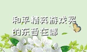 和平精英游戏买的东西在哪