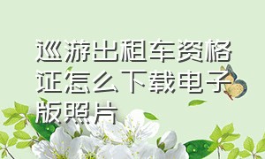 巡游出租车资格证怎么下载电子版照片（巡游出租车资格证怎么考）