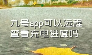 九号app可以远程查看充电进度吗