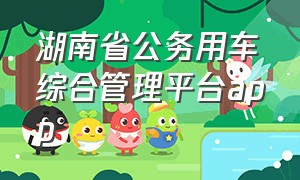 湖南省公务用车综合管理平台app（四川公务用车管理平台app怎么登录）