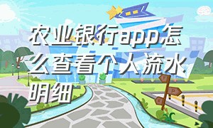 农业银行app怎么查看个人流水明细（农业银行app怎么查询个人流水）