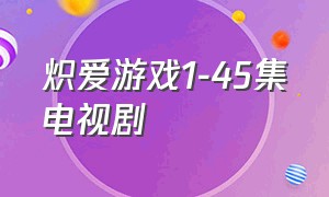 炽爱游戏1-45集电视剧
