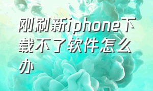 刚刷新iphone下载不了软件怎么办