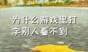 为什么游戏里打字别人看不到（为什么游戏里面打字看不见状态栏）