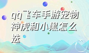 qq飞车手游宠物神虎和小黑怎么选