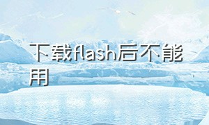 下载flash后不能用