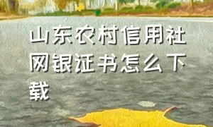 山东农村信用社网银证书怎么下载