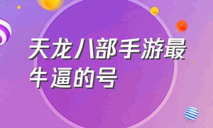 天龙八部手游最牛逼的号