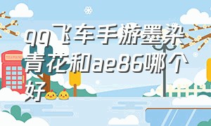 qq飞车手游墨染青花和ae86哪个好