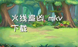 火线追凶 mkv 下载