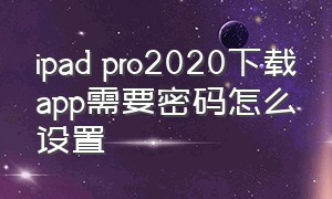 ipad pro2020下载app需要密码怎么设置