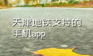 天津地铁支持的手机app（天津地铁app只能在一个手机上用吗）