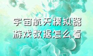 宇宙航天模拟器游戏数据怎么看