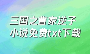 三国之曹家逆子小说免费txt下载